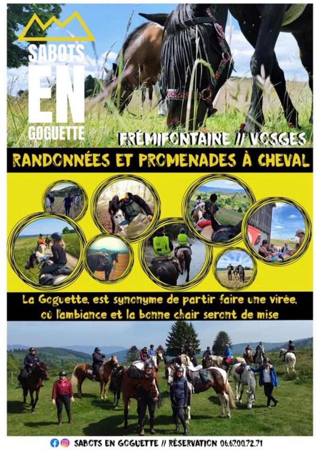 Les Vergers D'Epona "Fremifontaine Vosges" Exteriér fotografie