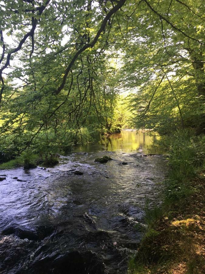 Les Vergers D'Epona "Fremifontaine Vosges" Exteriér fotografie